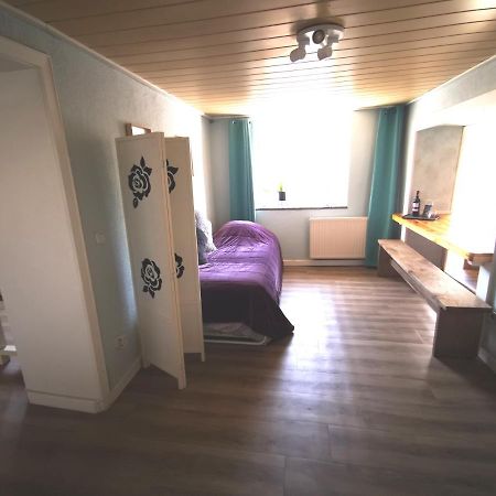 Mooi Ruim Appartement In Antieke Stadsboerderij Schönecken 外观 照片