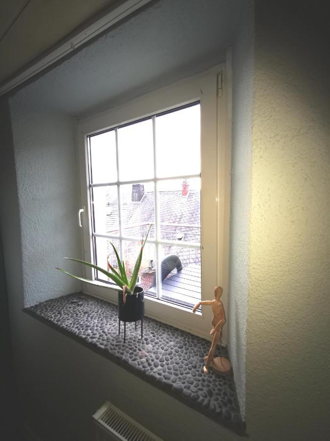 Mooi Ruim Appartement In Antieke Stadsboerderij Schönecken 外观 照片