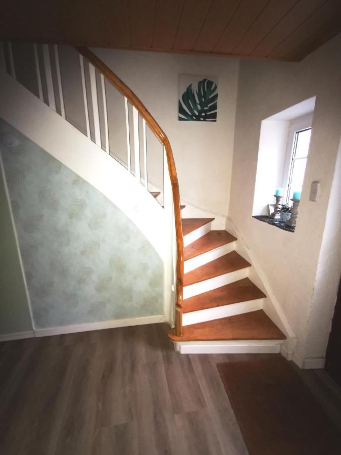 Mooi Ruim Appartement In Antieke Stadsboerderij Schönecken 外观 照片