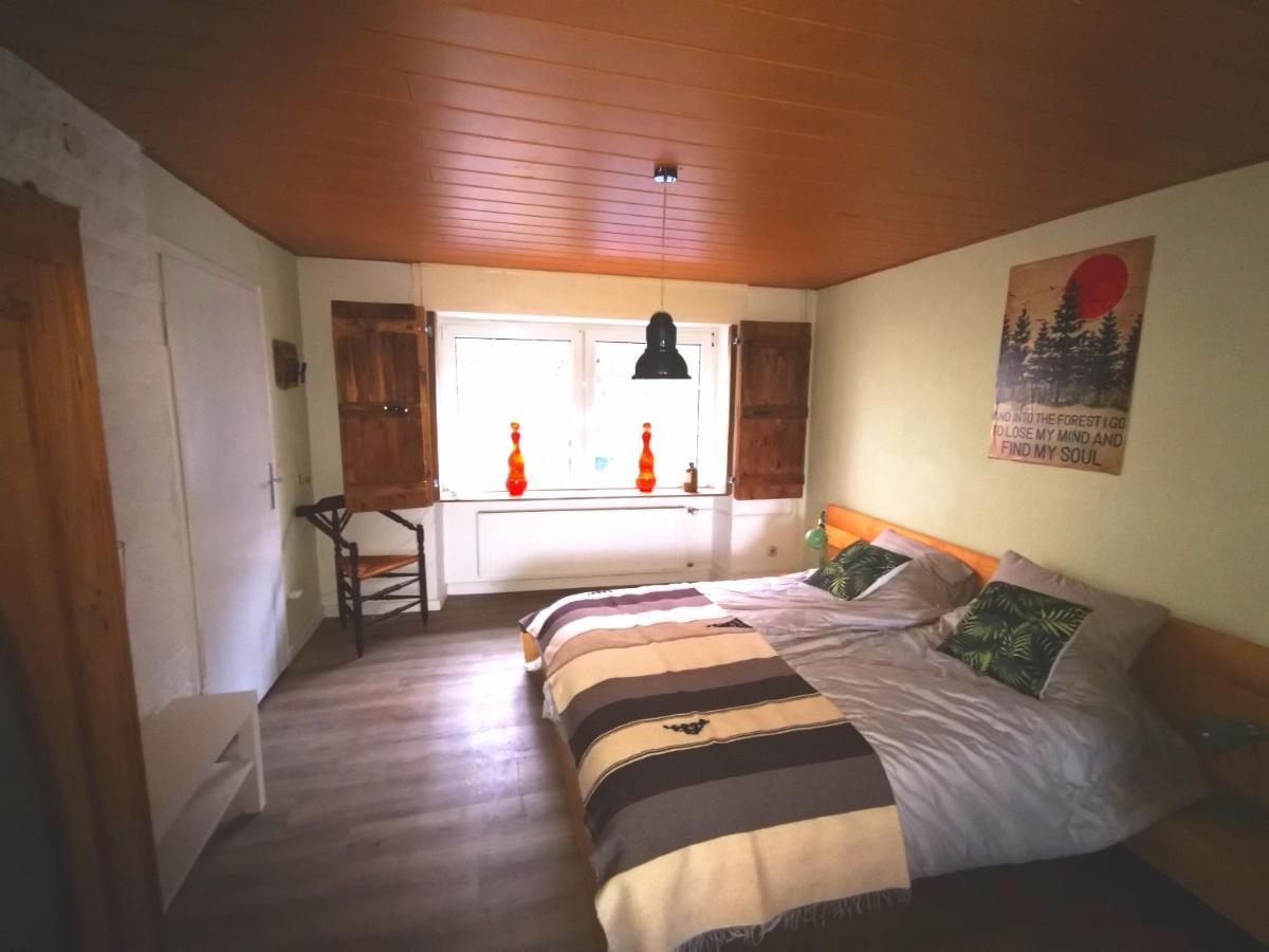 Mooi Ruim Appartement In Antieke Stadsboerderij Schönecken 外观 照片