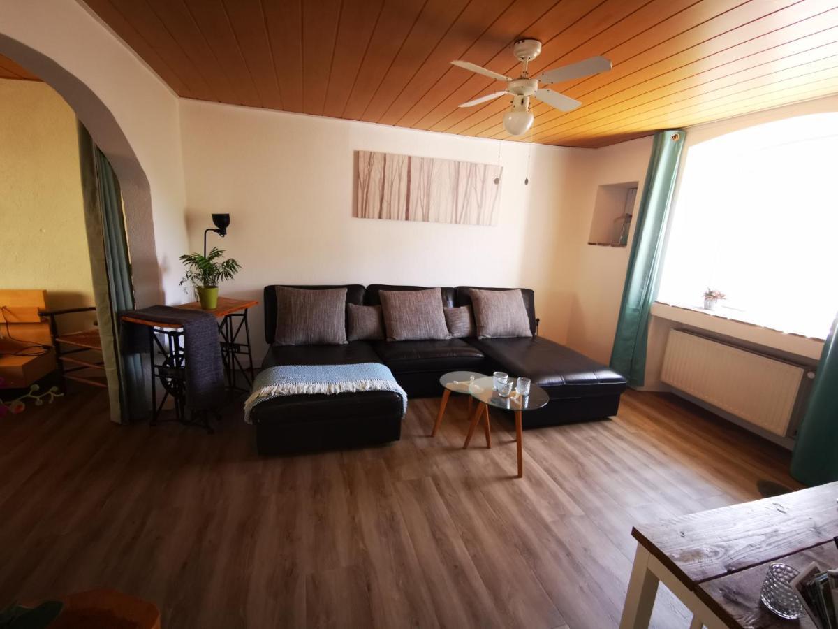 Mooi Ruim Appartement In Antieke Stadsboerderij Schönecken 外观 照片