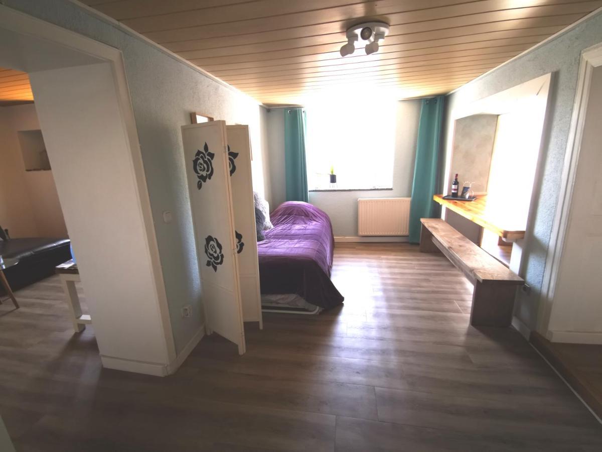Mooi Ruim Appartement In Antieke Stadsboerderij Schönecken 外观 照片
